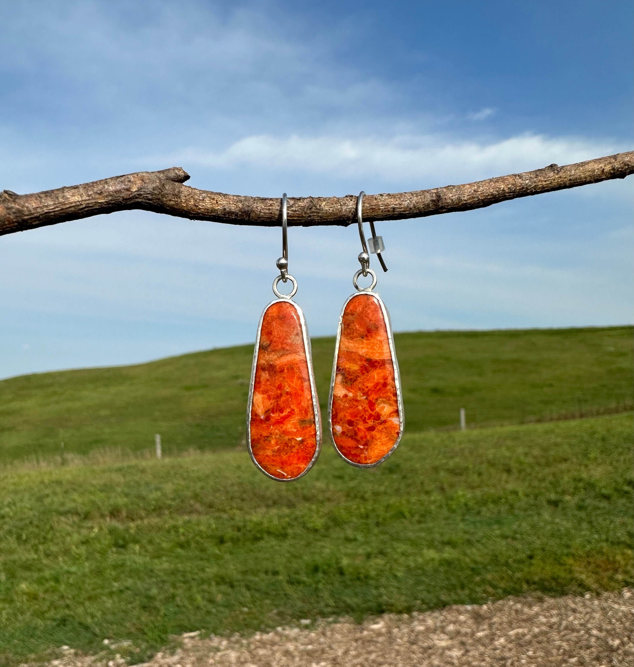 Apple clearance coral earrings